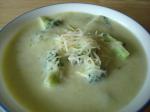 Swiss Swiss Broccoli Soup 3 Appetizer