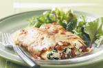 Australian Ricotta and Spinach Cannelloni Recipe Appetizer