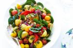 American Roasted Vegetable Salad With Caper Dressing Recipe Appetizer