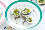 American Zesty Lime Oysters Recipe Dinner