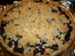American Perfect Blueberry Pie Dessert