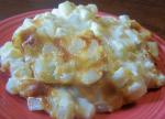 American Easy Cheesy Potatoes 8 Appetizer