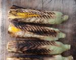 Chargrilled Corn with Green Sauce recipe