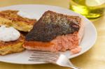 American Basic Seared Salmon Fillet Recipe Dinner
