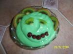American Kiwi Green Goblin Pudding Dessert