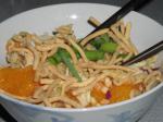 American Pvws Slap Me Im so Simple Asian Inspired Salad Dinner
