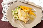 French Chicken Fricassee Recipe 5 Appetizer