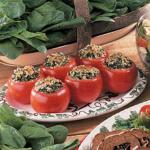 Australian Spinachstuffed Tomatoes Appetizer