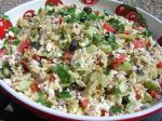 British Greek Orzo Artichoke Salad Appetizer