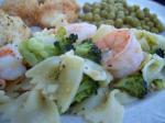Canadian Broccoli Shrimp Pasta Toss Dinner