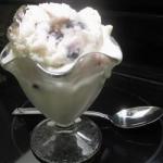 Australian Creamy Vanilla Frozen Yogurt Recipe Dessert