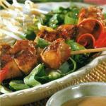 Australian Chicken Skewers on Asia Salad with Erdnusssauce Appetizer