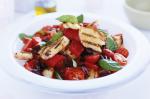Italian Panzanella Salad Recipe 9 Appetizer