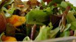 American Mesclun and Mango Salad with Ginger Carrot Dressing Recipe Appetizer