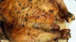 American Roast Chicken with Thyme and Onions Recipe Appetizer