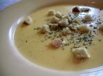 Australian Canadian Cheddar Cheese Soup 3 Appetizer