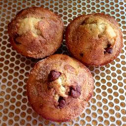 Australian Chocolate-chip Banana Muffins Dessert