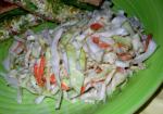 American Fatfree Coleslaw Appetizer