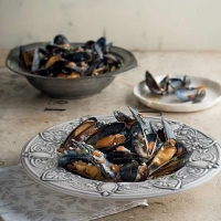 Lebanese Mussels in Arak Dinner