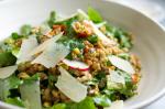 Australian Charlie Birdands Farro Salad Recipe Appetizer