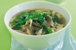 Thai Thaistyle Beef And Mushroom Soup Recipe Appetizer