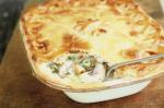 American Country Chicken And Vegetable Pie Recipe Appetizer
