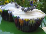 Australian Lavender Cupcakes Dessert
