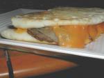 Australian Grilled Beef and Onion Panini BBQ Grill