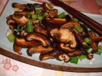 Australian Andrew Weils Shiitake Teriyaki Dinner