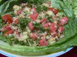 American Lentil Sprout and Bulgur Salad Appetizer