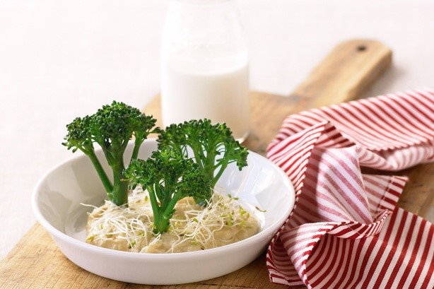 Australian Broccolini Forest Recipe Appetizer