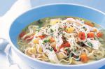 British Chicken Noodle Soup Recipe 28 Appetizer