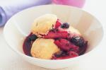 British Rhubarb and Berry Cobbler Recipe Dessert