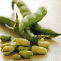 American Broad Beans With Ham Appetizer