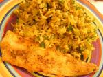 Australian Cajun Fish  Rice Pilaf  Day Wonder Diet Day Dinner