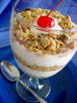 American A Breakfast Yogurt Parfait granola Dessert