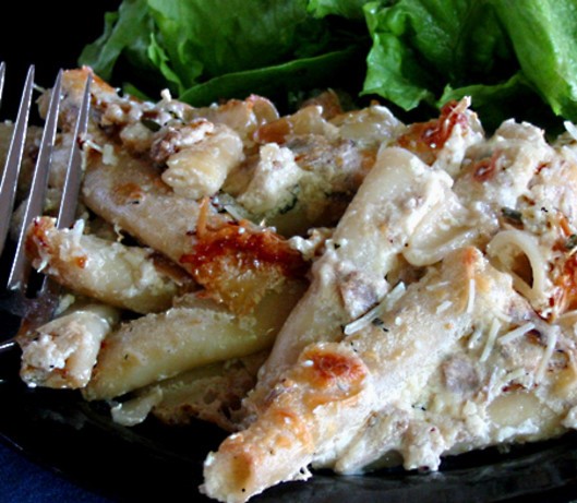 Australian Penne With  Cheeses  Porcini Sauce Dinner