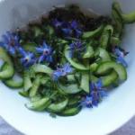 Canadian Cucumber Salad with Borage Appetizer