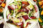 American Mixed Leaves With Radish Avocado And Salad Seeds Recipe Dessert