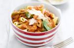 American Creamy Smoked Chicken And Spinach Pasta Recipe Appetizer