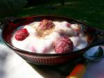 American Quick and Healthy Raspberry Yogurt Treat Dessert