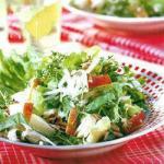 Chicory Salad and Apple recipe