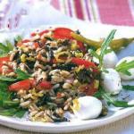 American Salad Rice and Tomato Pimenta Appetizer