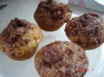 American Rhubarb Streusel Muffins 1 Dessert