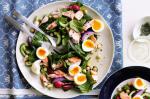 Canadian Smoked Salmon and Chickpea Salad With Soft Eggs Recipe Appetizer