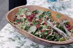 American Raspberry and Spinach Salad Dessert
