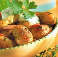 American Broiled New Potato Salad Appetizer