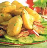 American Potato Radish and Cucumber Salad Appetizer