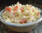 American Cabbage Coleslaw 2 Appetizer