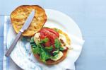 Australian Chicken Steak Sandwiches Recipe Appetizer